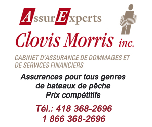 300 X 250 AssurExperts Clovis Morris