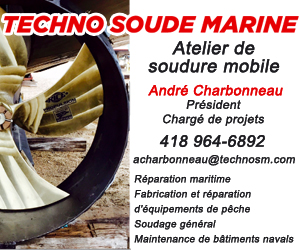 300 X 250 Techno Soude Marine