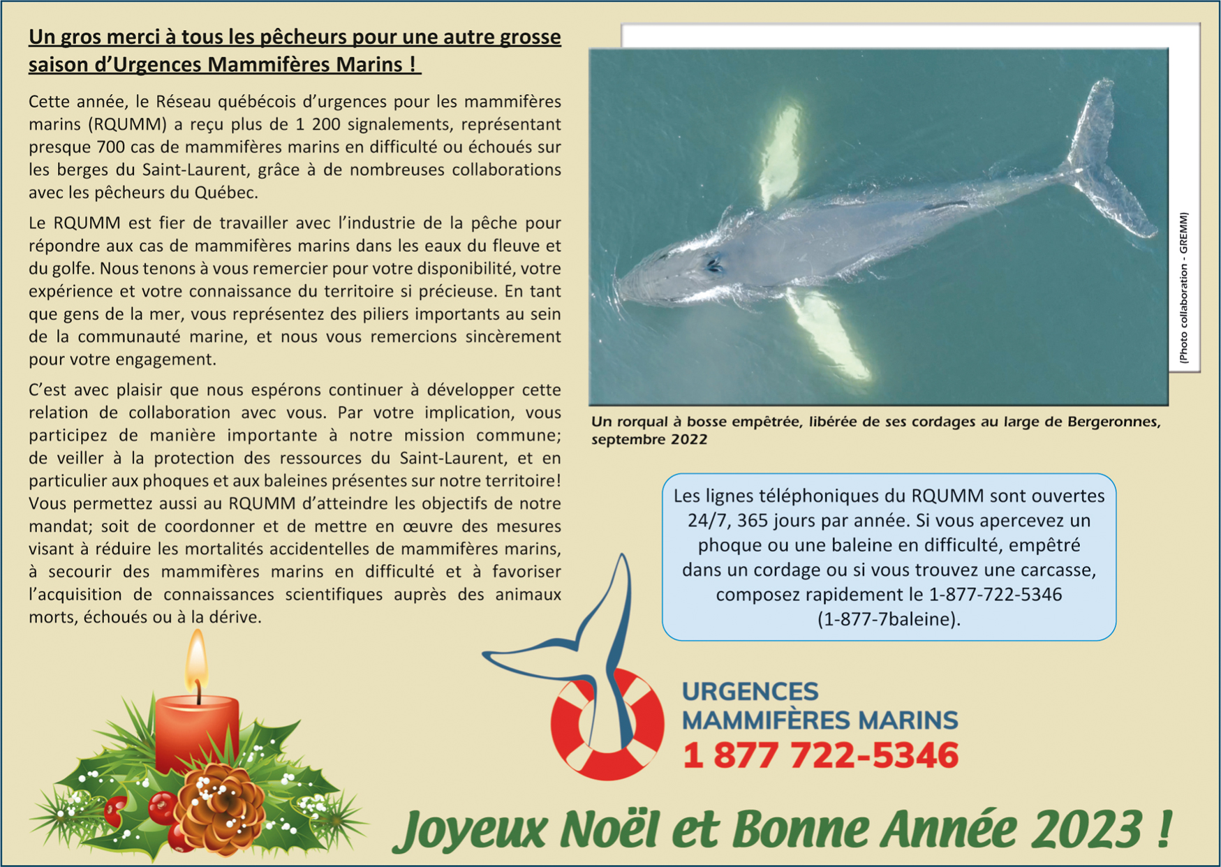 Réseau québécois d'urgences pour les mammifères marins - GREMM