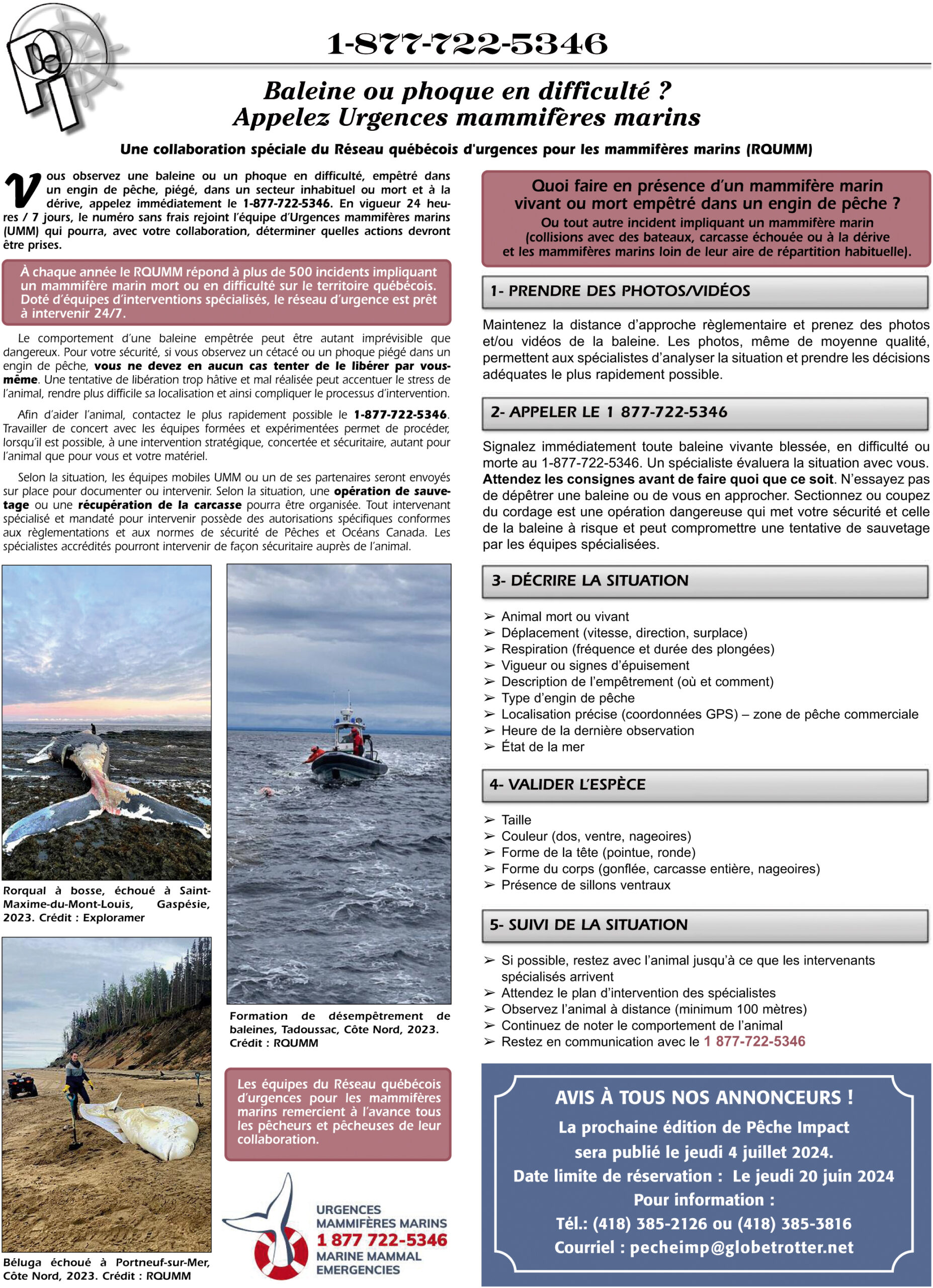 Réseau québécois d'urgences pour les mammifères marins - GREMM