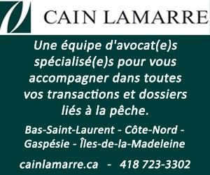 300 X 250 Cain Lamarre