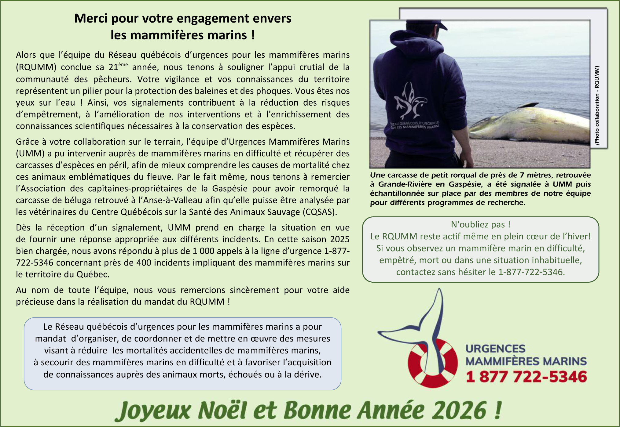 Réseau québécois d'urgences pour les mammifères marins - GREMM