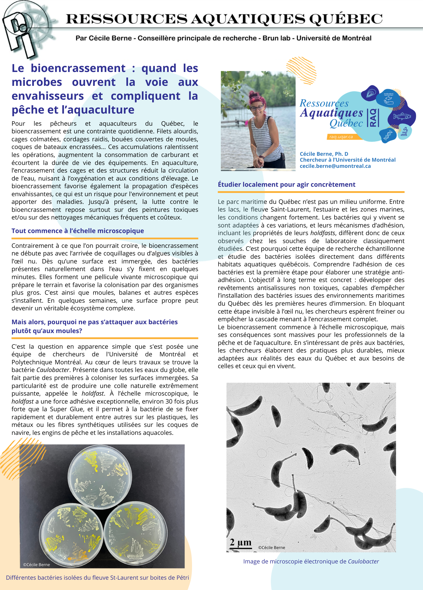 Ressources Aquatiques Québec