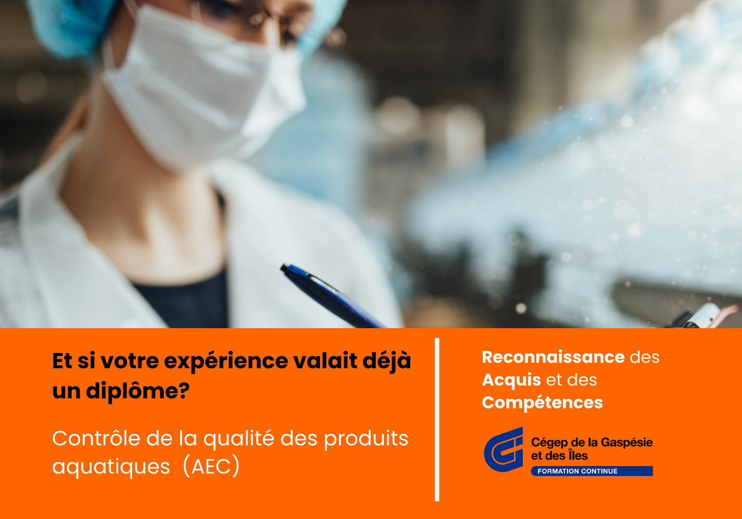 Cégep de la Gaspésie et des Îles